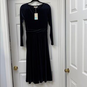 NWT Boden Lois Long Sleeve Stretchy Velvet Ruched A-line Midi Dress, Size 8R